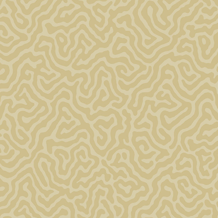 Coral Buff by Cole & Son Wallcovering