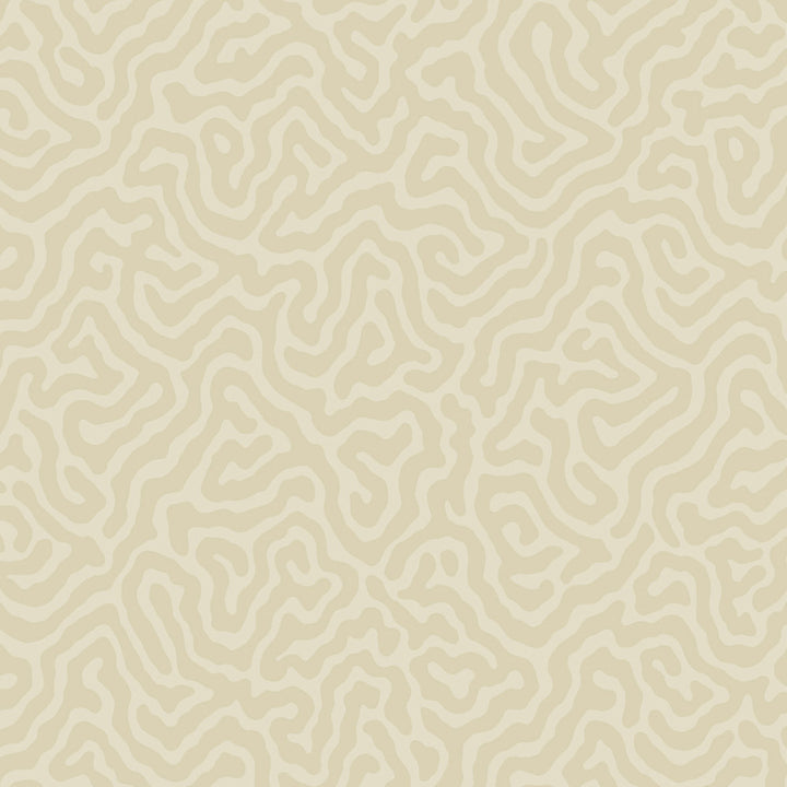 Coral Parchment by Cole & Son Wallcovering