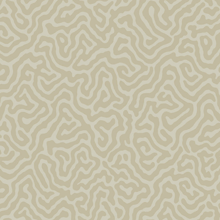 Coral Pale Stone by Cole & Son Wallcovering