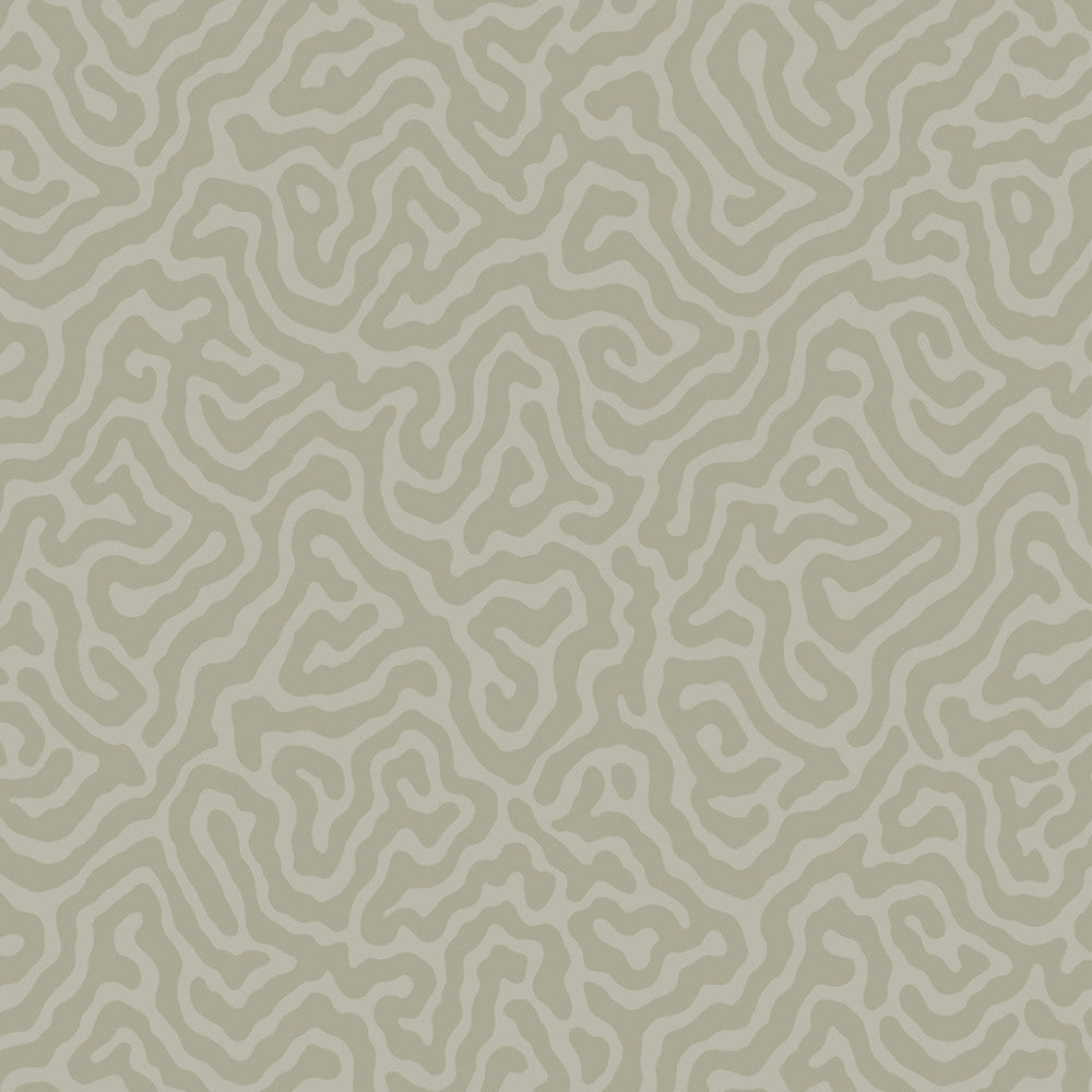 Coral Stone by Cole & Son Wallcovering