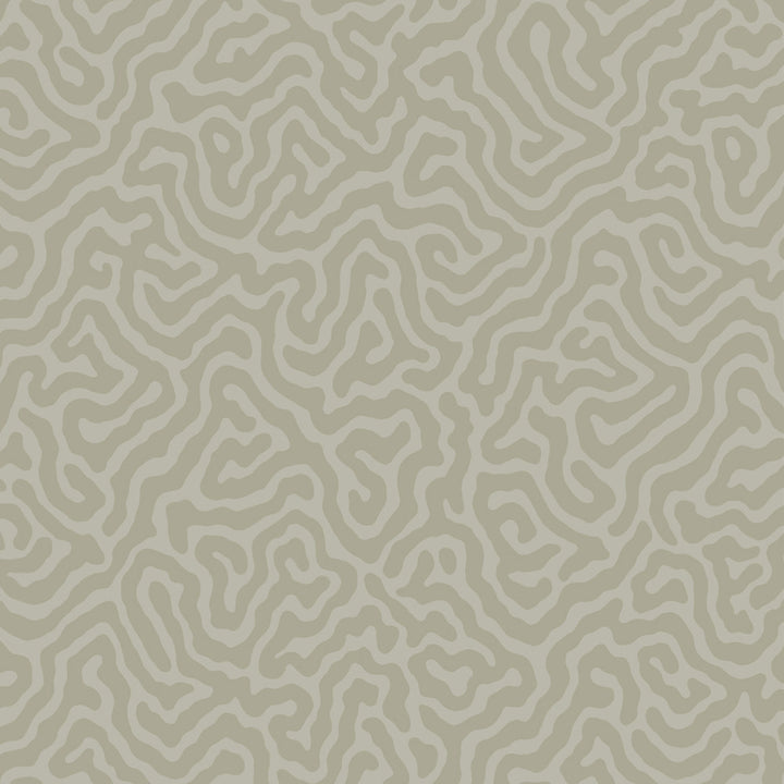 Coral Stone by Cole & Son Wallcovering