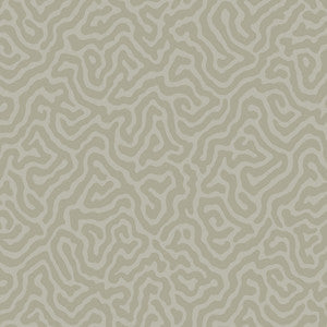 Coral Stone by Cole & Son Wallcovering