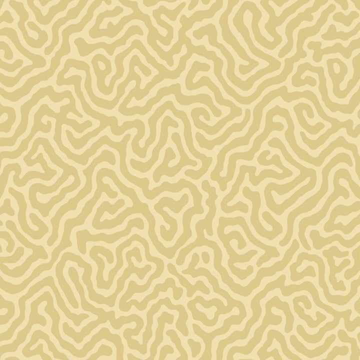 Coral Ochre by Cole & Son Wallcovering