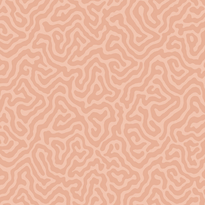 Coral Salmon by Cole & Son Wallcovering