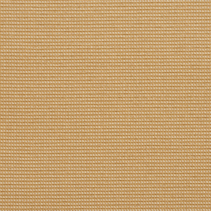 10600-01 by Charlotte Fabric Outdoor/Indoor Wovens II Solution Dyed Acrylic & Polyester Made In USA Exceeds 50,000 Wyzenbeek Rubs (Heavy Duty) </p><p>Repeat: No Repeat 54 Inches - Fabric Carolina -