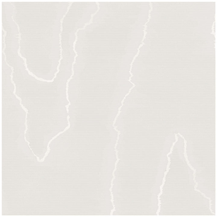 Watered Silk Silver by Cole & Son Designer Wallcovering COLE & SON LANDSCAPE PLAINS PAPER - 100% United Kingdom Horizontal: 20.5 and Vertical: 24 20.5 - Swanky Fabrics -