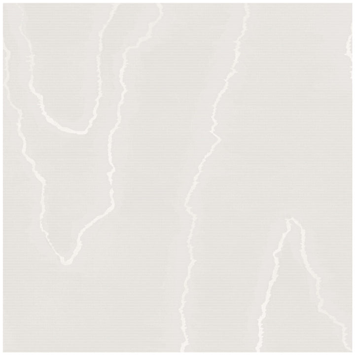 Watered Silk Silver by Cole & Son Wallcovering COLE & SON LANDSCAPE PLAINS PAPER - 100% United Kingdom Horizontal: 20.5 and Vertical: 24 20.5 - Fabric Carolina -