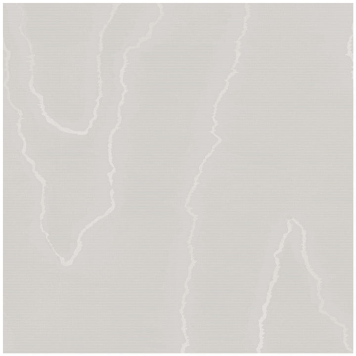 Watered Silk Grey by Cole & Son Wallcovering Cole & Son Wallcovering Watered Silk GreyWallcovering COLE & SON LANDSCAPE PLAINS PAPER - 100% United Kingdom </p><p>Repeat: H: , V: 24 20.5 - Fabric Carolina -