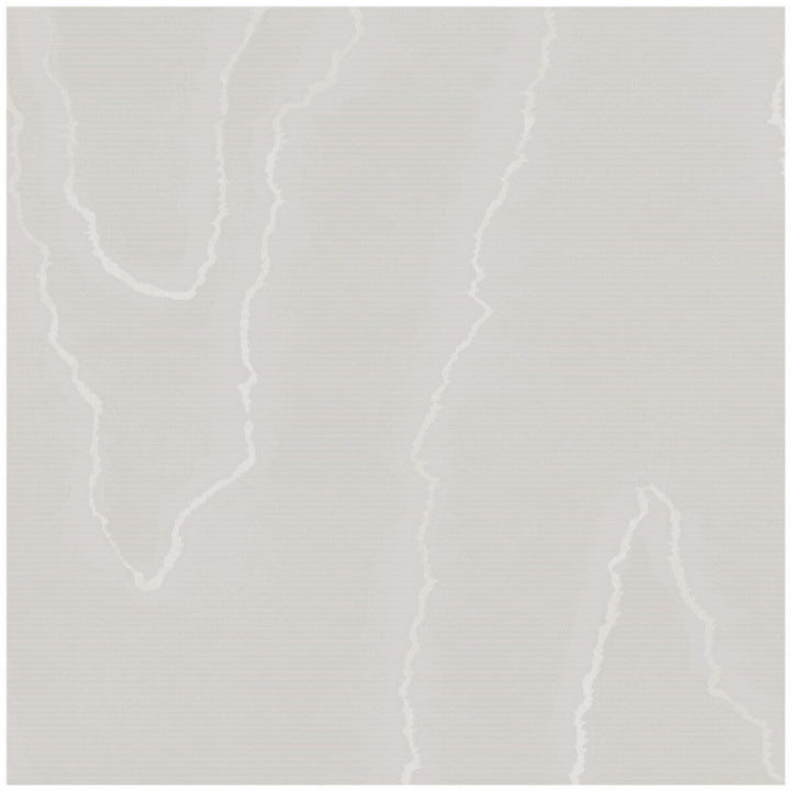 Watered Silk Grey by Cole & Son Wallcovering Cole & Son Wallcovering Watered Silk GreyWallcovering COLE & SON LANDSCAPE PLAINS PAPER - 100% United Kingdom </p><p>Repeat: H: , V: 24 20.5 - Fabric Carolina -