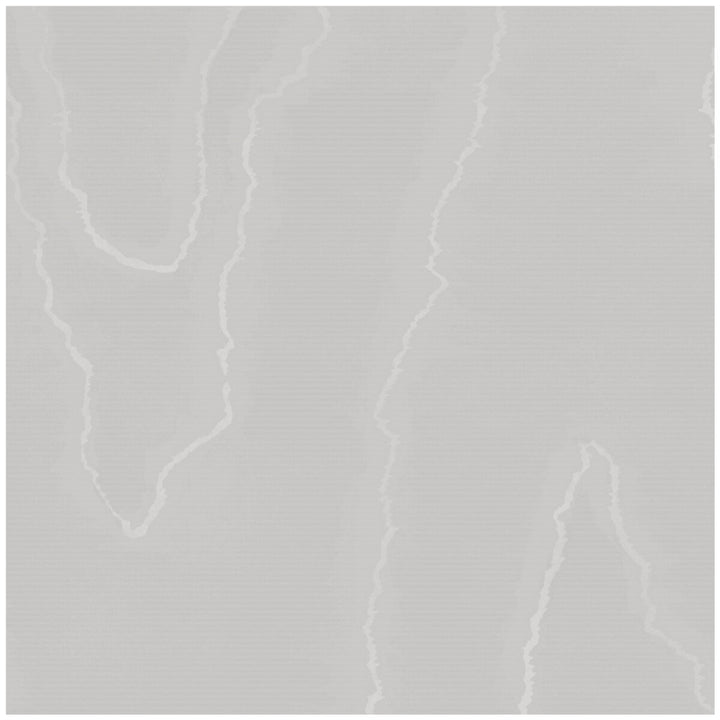 Watered Silk Cloud Grey by Cole & Son Wallcovering COLE & SON LANDSCAPE PLAINS PAPER - 100% United Kingdom Horizontal: and Vertical: 24 20.5 - Fabric Carolina -