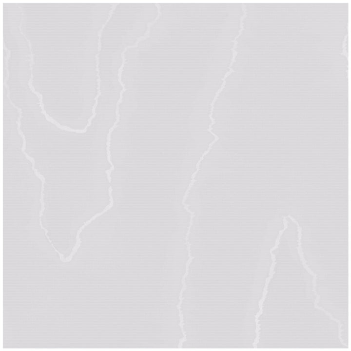 Watered Silk Oyster by Cole & Son Wallcovering COLE & SON LANDSCAPE PLAINS PAPER - 100% United Kingdom Horizontal: and Vertical: 24 20.5 - Fabric Carolina -