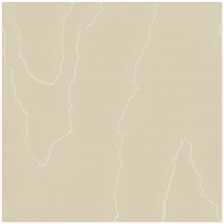 Watered Silk Fawn by Cole & Son Wallcovering COLE & SON LANDSCAPE PLAINS PAPER - 100% United Kingdom Horizontal: and Vertical: 24 20.5 - Fabric Carolina -