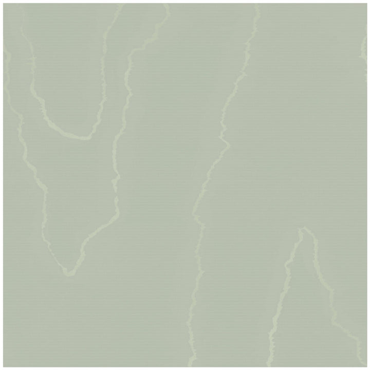 Watered Silk Sage by Cole & Son Wallcovering COLE & SON LANDSCAPE PLAINS PAPER - 100% United Kingdom Horizontal: and Vertical: 24 20.5 - Fabric Carolina -