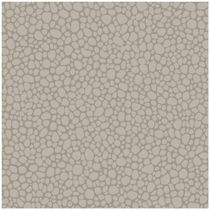 Pebble Mushroom by Cole & Son Wallcovering COLE & SON LANDSCAPE PLAINS PAPER - 100% United Kingdom - Horizontal: - and Vertical: 5.1 20.5 - Fabric Carolina -
