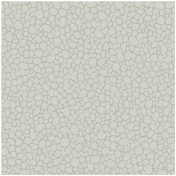 Pebble Pale Grey by Cole & Son Wallcovering COLE & SON LANDSCAPE PLAINS PAPER - 100% United Kingdom - Horizontal: - and Vertical: 5.1 20.5 - Fabric Carolina -