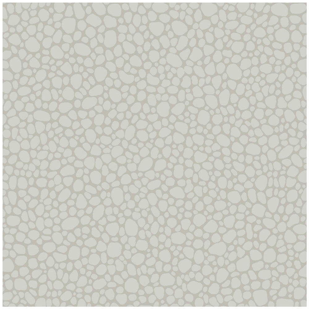 Pebble Pale Grey by Cole & Son Wallcovering COLE & SON LANDSCAPE PLAINS PAPER - 100% United Kingdom Horizontal: and Vertical: 5.1 20.5 - Fabric Carolina -