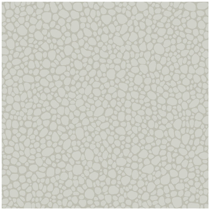 Pebble Pale Grey by Cole & Son Wallcovering Cole & Son Wallcovering Pebble Pale GreyWallcovering COLE & SON LANDSCAPE PLAINS PAPER - 100% United Kingdom </p><p>Repeat: H: , V: 5.1 20.5 - Fabric Carolina -