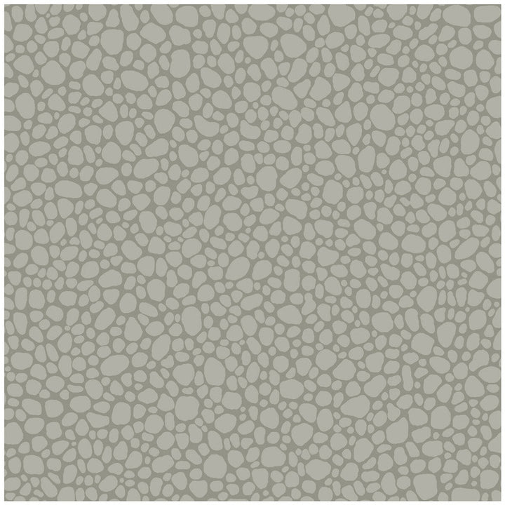 Pebble Grey by Cole & Son Designer Wallcovering COLE & SON LANDSCAPE PLAINS PAPER - 100% United Kingdom Horizontal: and Vertical: 5.1 20.5 - Swanky Fabrics -