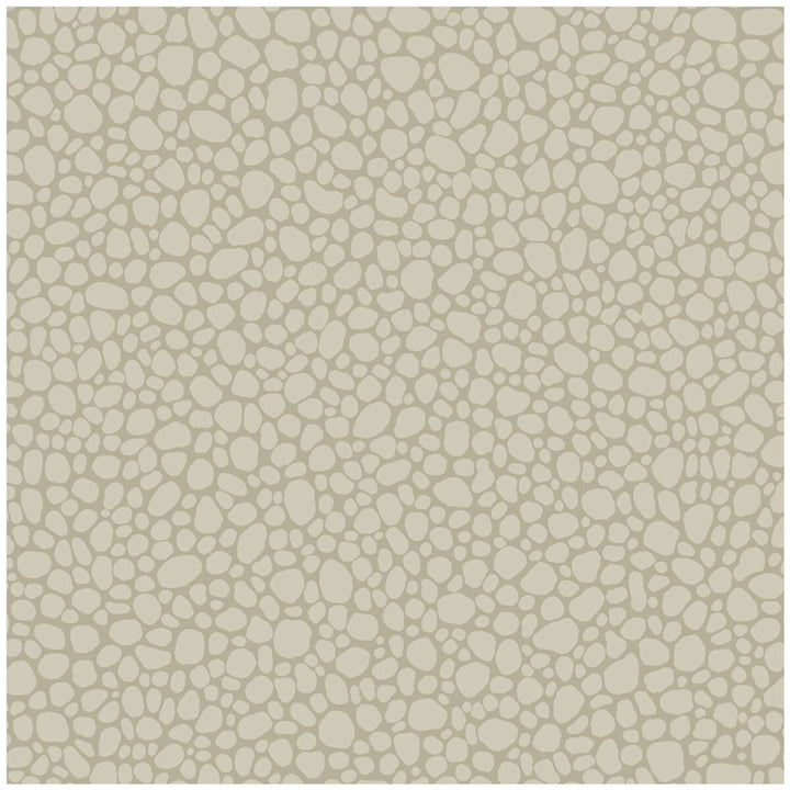 Pebble Linen by Cole & Son Wallcovering COLE & SON LANDSCAPE PLAINS PAPER - 100% United Kingdom Horizontal: and Vertical: 5.1 20.5 - Fabric Carolina -