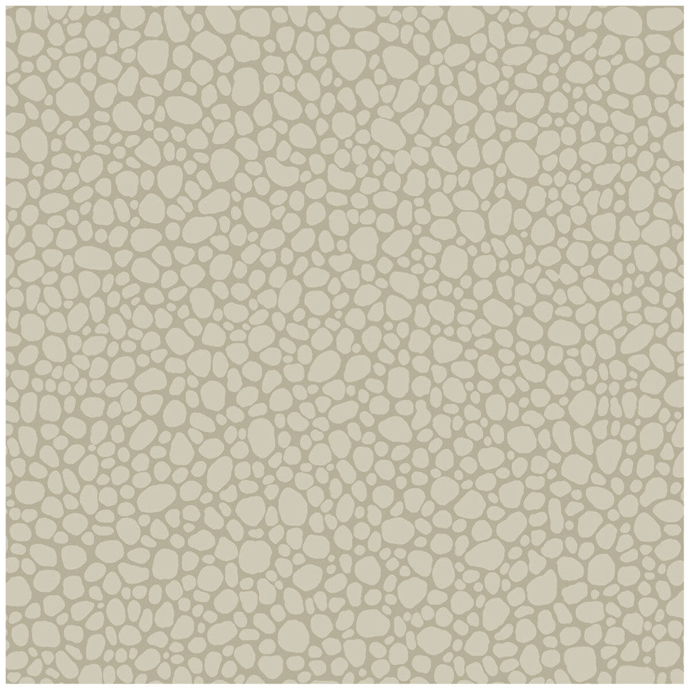 Pebble Linen by Cole & Son Wallcovering COLE & SON LANDSCAPE PLAINS PAPER - 100% United Kingdom Horizontal: and Vertical: 5.1 20.5 - Fabric Carolina -