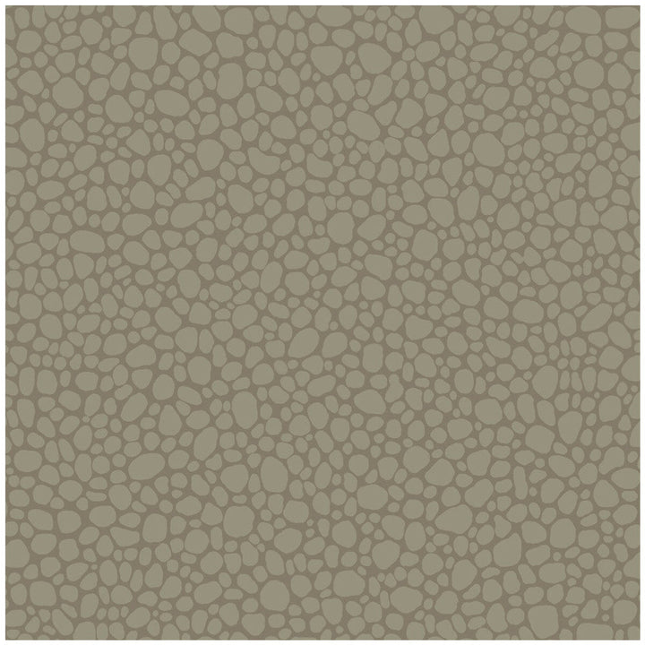 Pebble Dark Linen by Cole & Son Wallcovering Cole & Son Wallcovering Pebble Dark LinenWallcovering COLE & SON LANDSCAPE PLAINS PAPER - 100% United Kingdom </p><p>Repeat: H: , V: 5.1 20.5 - Fabric Carolina -