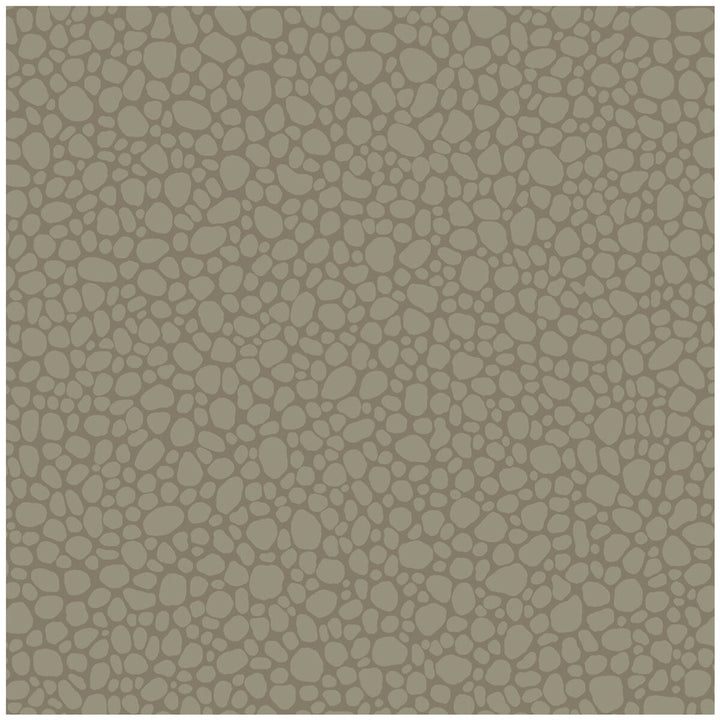 Pebble Dark Linen by Cole & Son Wallcovering COLE & SON LANDSCAPE PLAINS PAPER - 100% United Kingdom Horizontal: and Vertical: 5.1 20.5 - Fabric Carolina -