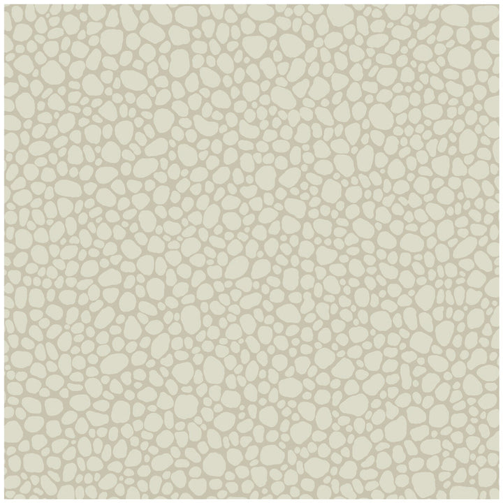 Pebble Stone by Cole & Son Wallcovering COLE & SON LANDSCAPE PLAINS PAPER - 100% United Kingdom Horizontal: and Vertical: 5.1 20.5 - Fabric Carolina -