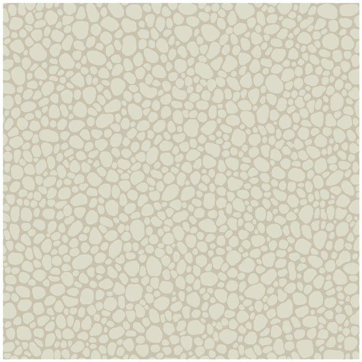 Pebble Stone by Cole & Son Designer Wallcovering COLE & SON LANDSCAPE PLAINS PAPER - 100% United Kingdom Horizontal: and Vertical: 5.1 20.5 - Swanky Fabrics -