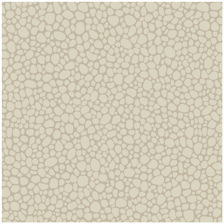 Pebble Parchment by Cole & Son Designer Wallcovering COLE & SON LANDSCAPE PLAINS PAPER - 100% United Kingdom Horizontal: and Vertical: 5.1 20.5 - Swanky Fabrics -