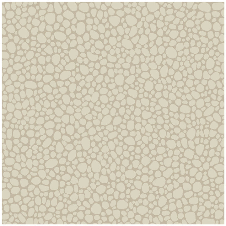 Pebble Parchment by Cole & Son Wallcovering COLE & SON LANDSCAPE PLAINS PAPER - 100% United Kingdom - Horizontal: - and Vertical: 5.1 20.5 - Fabric Carolina -