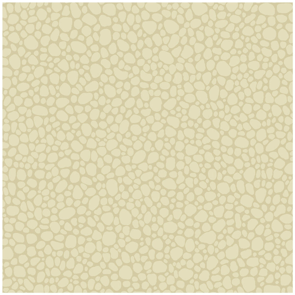 Pebble Cream by Cole & Son Wallcovering Cole & Son Wallcovering Pebble CreamWallcovering COLE & SON LANDSCAPE PLAINS PAPER - 100% United Kingdom </p><p>Repeat: H: , V: 5.1 20.5 - Fabric Carolina -