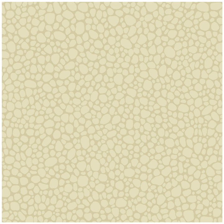 Pebble Cream by Cole & Son Wallcovering COLE & SON LANDSCAPE PLAINS PAPER - 100% United Kingdom Horizontal: and Vertical: 5.1 20.5 - Fabric Carolina -