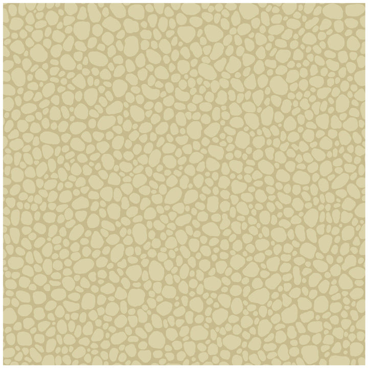 Pebble Latte by Cole & Son Wallcovering COLE & SON LANDSCAPE PLAINS PAPER - 100% United Kingdom Horizontal: and Vertical: 5.1 20.5 - Fabric Carolina -