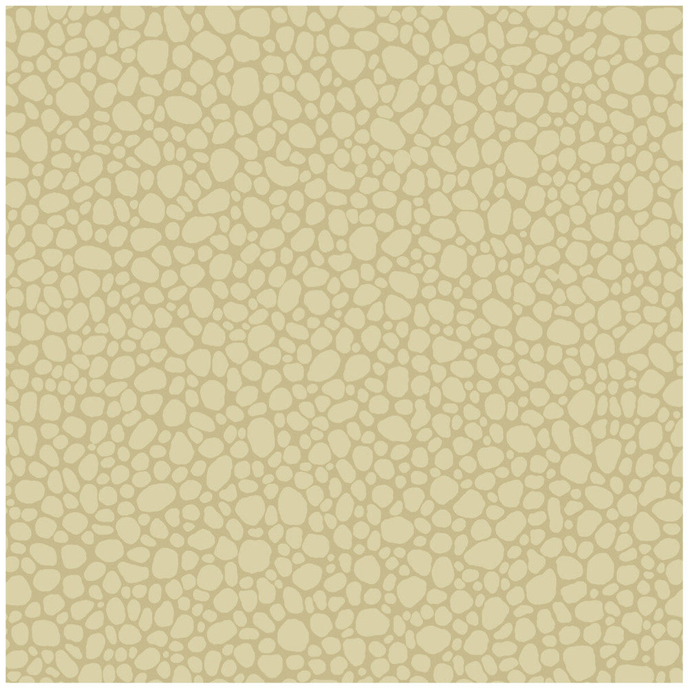 Pebble Latte by Cole & Son Wallcovering COLE & SON LANDSCAPE PLAINS PAPER - 100% United Kingdom Horizontal: and Vertical: 5.1 20.5 - Fabric Carolina -