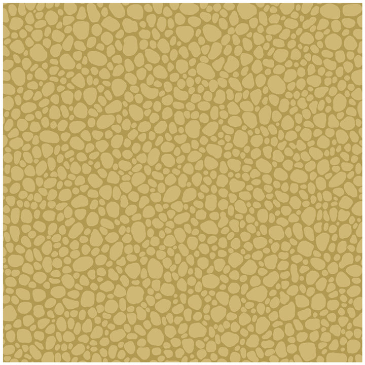 Pebble Sand by Cole & Son Wallcovering COLE & SON LANDSCAPE PLAINS PAPER - 100% United Kingdom - Horizontal: - and Vertical: 5.1 20.5 - Fabric Carolina -