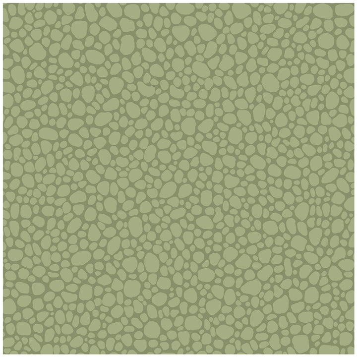 Pebble Dark Olive by Cole & Son Wallcovering COLE & SON LANDSCAPE PLAINS PAPER - 100% United Kingdom - Horizontal: - and Vertical: 5.1 20.5 - Fabric Carolina -