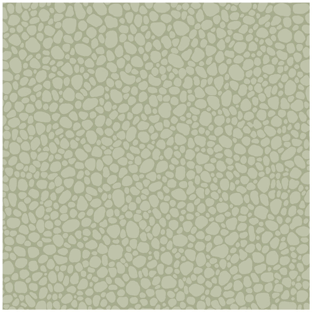 Pebble Sage by Cole & Son Wallcovering COLE & SON LANDSCAPE PLAINS PAPER - 100% United Kingdom Horizontal: and Vertical: 5.1 20.5 - Fabric Carolina -