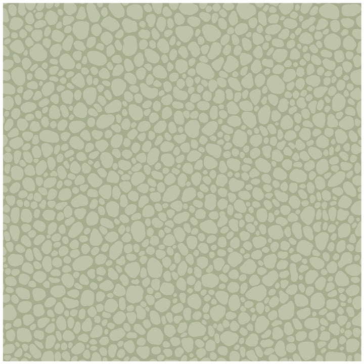Pebble Sage by Cole & Son Wallcovering COLE & SON LANDSCAPE PLAINS PAPER - 100% United Kingdom Horizontal: and Vertical: 5.1 20.5 - Fabric Carolina -