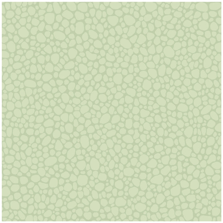 Pebble Duck Egg by Cole & Son Wallcovering COLE & SON LANDSCAPE PLAINS PAPER - 100% United Kingdom - Horizontal: - and Vertical: 5.1 20.5 - Fabric Carolina -