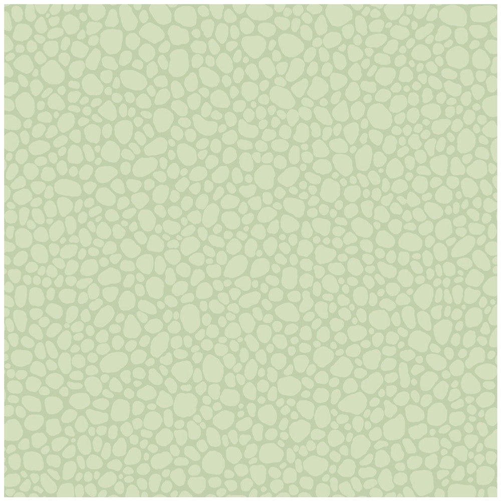 Pebble Duck Egg by Cole & Son Designer Wallcovering COLE & SON LANDSCAPE PLAINS PAPER - 100% United Kingdom - Horizontal: - and Vertical: 5.1 20.5 - Swanky Fabrics -