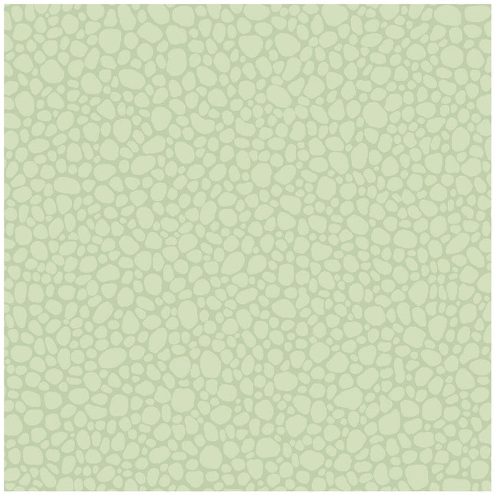 Pebble Duck Egg by Cole & Son Designer Wallcovering COLE & SON LANDSCAPE PLAINS PAPER - 100% United Kingdom Horizontal: and Vertical: 5.1 20.5 - Swanky Fabrics -