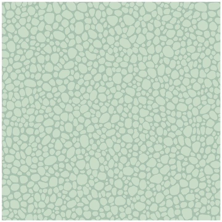Pebble Print Room Blue by Cole & Son Wallcovering COLE & SON LANDSCAPE PLAINS PAPER - 100% United Kingdom - Horizontal: - and Vertical: 5.1 20.5 - Fabric Carolina -