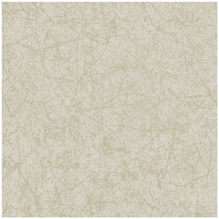 Cordovan Stone by Cole & Son Wallcovering Cole & Son Wallcovering Cordovan StoneWallcovering COLE & SON LANDSCAPE PLAINS PAPER - 100% United Kingdom </p><p>Repeat: H: , V: 20.5 20.5 - Fabric Carolina -