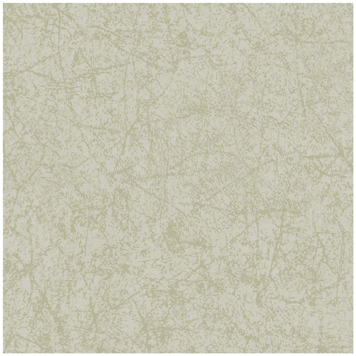 Cordovan Old Olive by Cole & Son Wallcovering COLE & SON LANDSCAPE PLAINS PAPER - 100% United Kingdom Horizontal: and Vertical: 20.5 20.5 - Fabric Carolina -