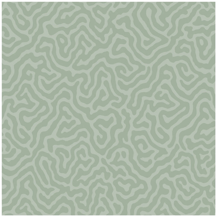 Coral Sage by Cole & Son Wallcovering COLE & SON LANDSCAPE PLAINS PAPER - 100% United Kingdom Horizontal: and Vertical: 4.2 20.5 - Fabric Carolina -