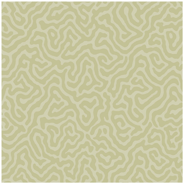 Coral Old Olive by Cole & Son Wallcovering COLE & SON LANDSCAPE PLAINS PAPER - 100% United Kingdom - Horizontal: - and Vertical: 4.2 20.5 - Fabric Carolina -