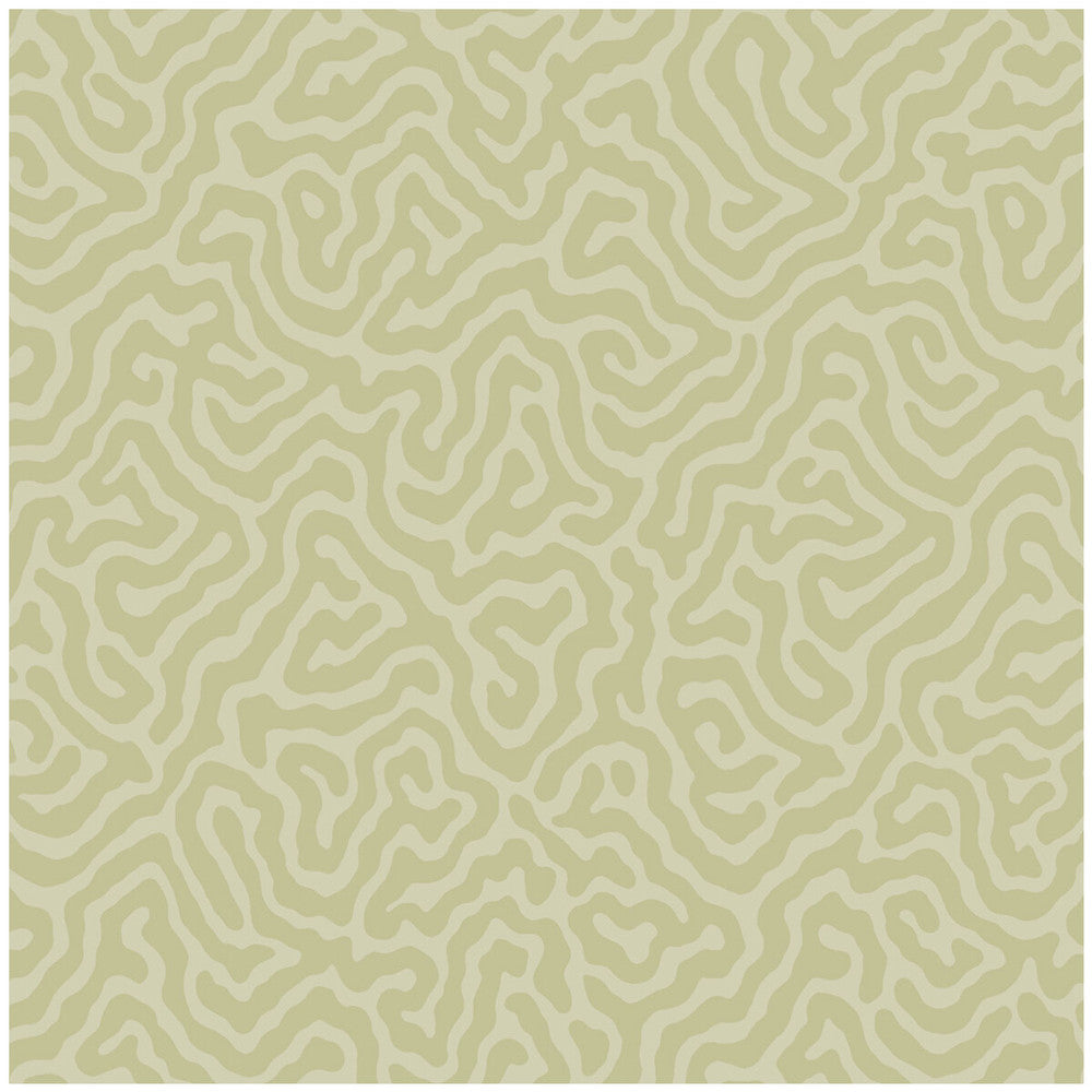 Coral Old Olive by Cole & Son Designer Wallcovering COLE & SON LANDSCAPE PLAINS PAPER - 100% United Kingdom Horizontal: and Vertical: 4.2 20.5 - Swanky Fabrics -