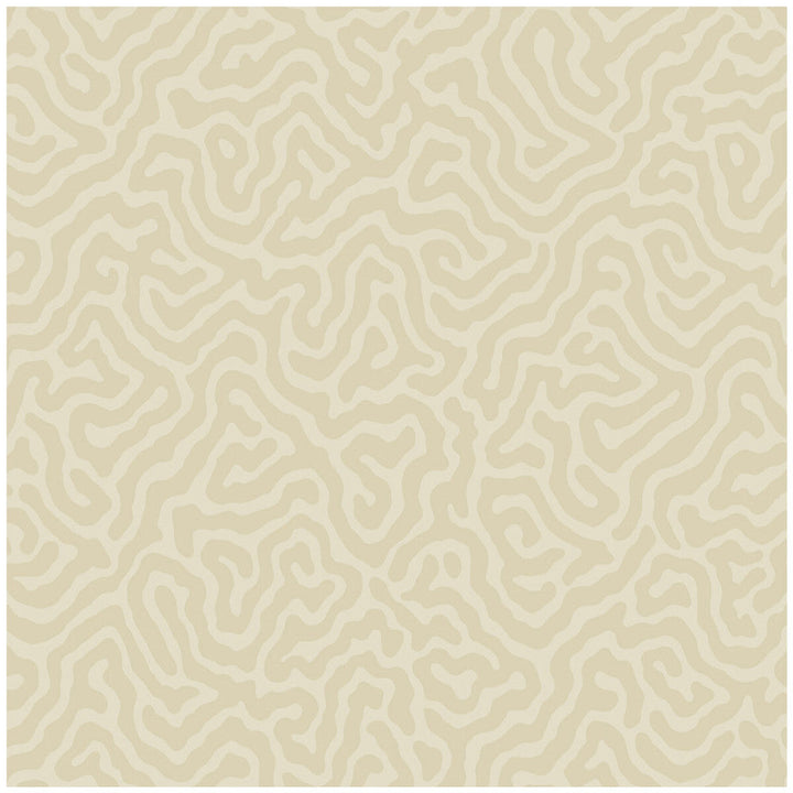 Coral Parchment by Cole & Son Wallcovering Cole & Son Wallcovering Coral ParchmentWallcovering COLE & SON LANDSCAPE PLAINS PAPER - 100% United Kingdom </p><p>Repeat: H: , V: 4.2 20.5 - Fabric Carolina -