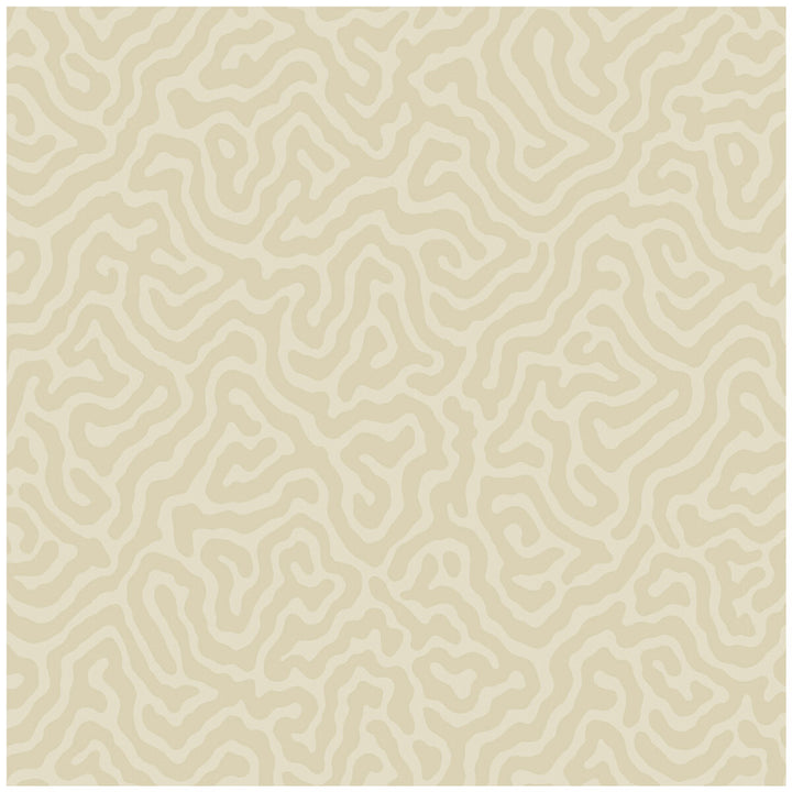 Coral Parchment by Cole & Son Wallcovering COLE & SON LANDSCAPE PLAINS PAPER - 100% United Kingdom Horizontal: and Vertical: 4.2 20.5 - Fabric Carolina -