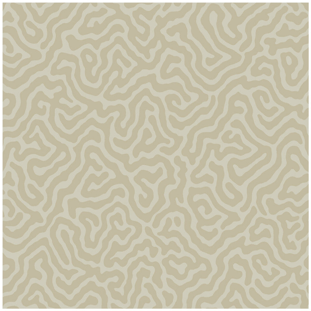 Coral Pale Stone by Cole & Son Wallcovering Cole & Son Wallcovering Coral Pale StoneWallcovering COLE & SON LANDSCAPE PLAINS PAPER - 100% United Kingdom </p><p>Repeat: H: , V: 4.2 20.5 - Fabric Carolina -